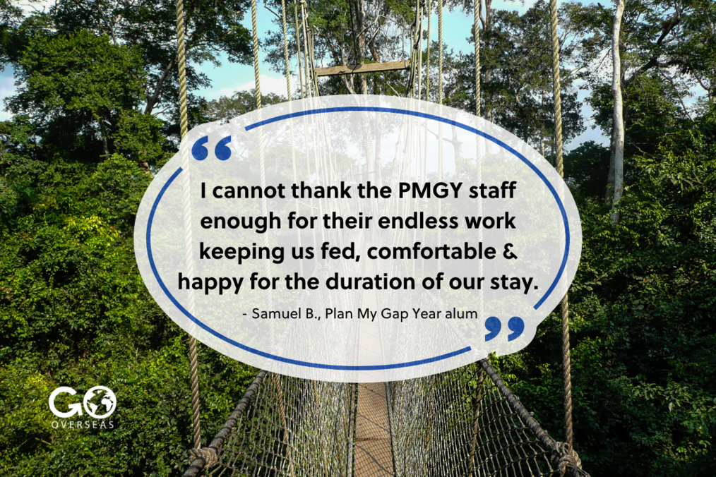 PMGY Quote over a photo of a rope bridge in the forest.